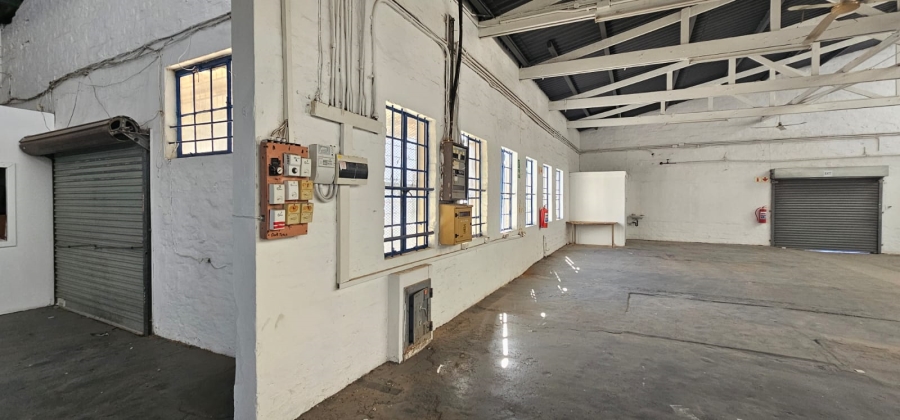 To Let commercial Property for Rent in Arcadia Eastern Cape